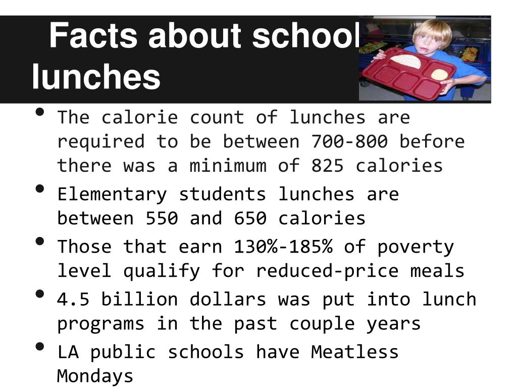 essay about school lunches