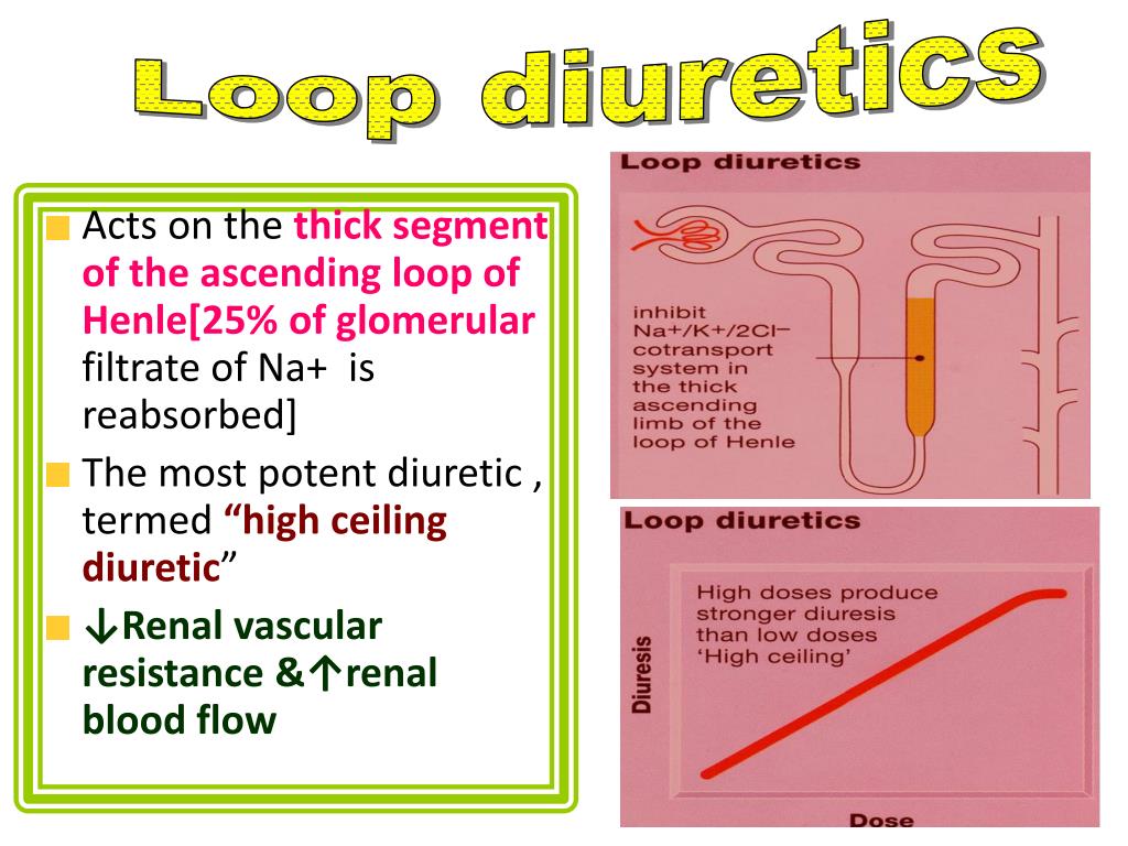 Ppt Ii Diuretics Powerpoint Presentation Free Download