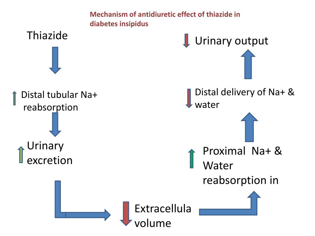 thiazide diuretics and diabetes