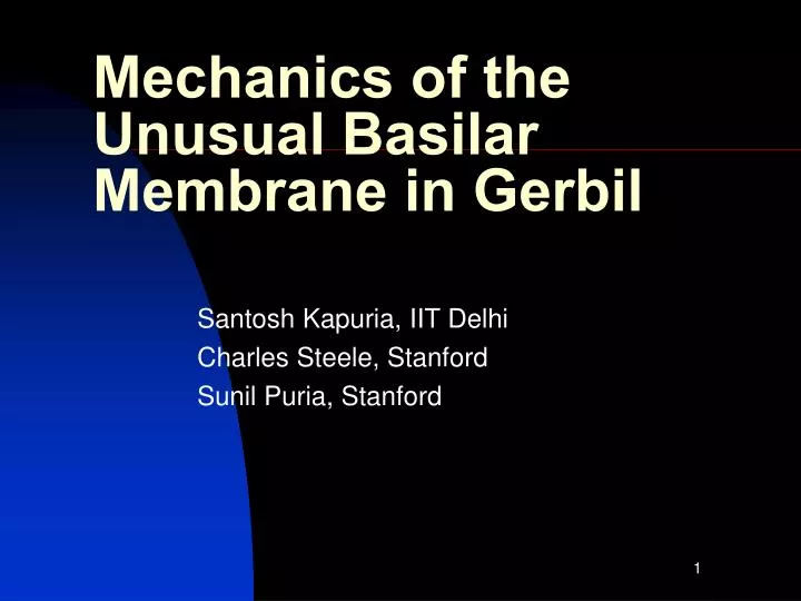 mechanics of the unusual basilar membrane in gerbil n.
