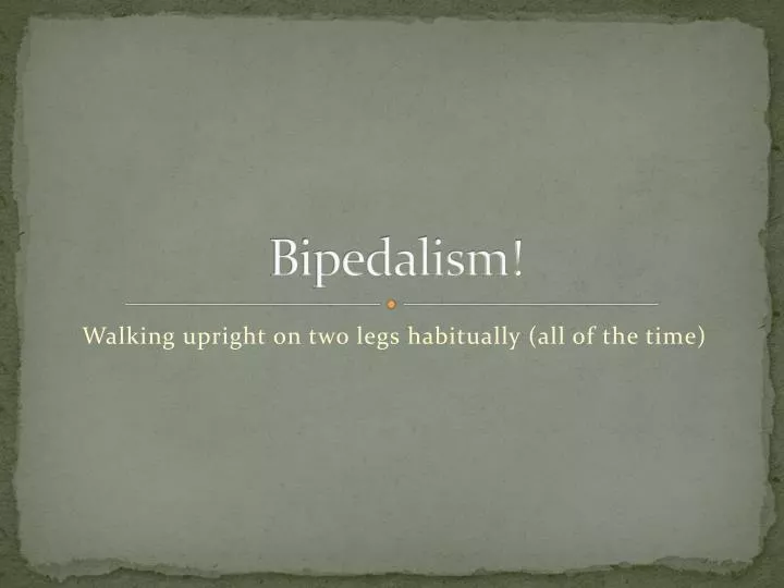Ppt Bipedalism Powerpoint Presentation Free Download Id 2133678