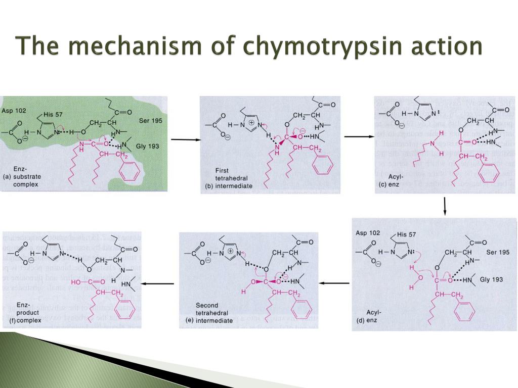Ppt Enzymology How Enzymes Work Mechanisms Powerpoint