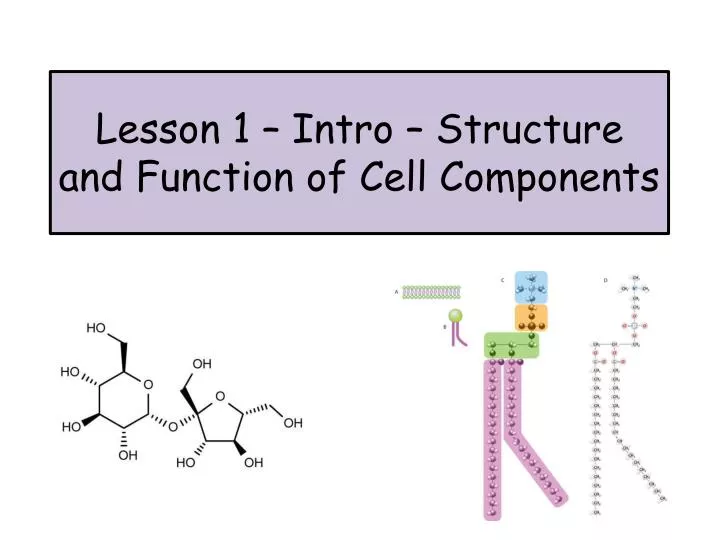 lesson 1 intro structure and function of cell components n.