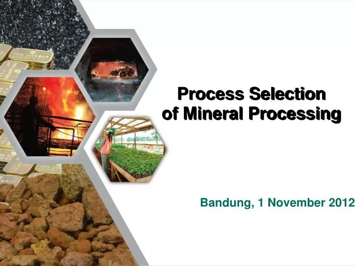 phd mineral processing