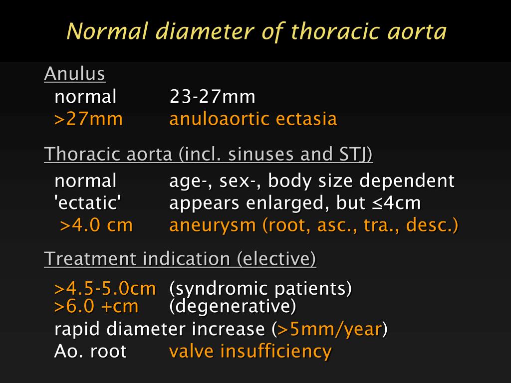 Aorta Diameter Radiology ultrasound-case-083-litfl-pocus-self-assessment-quiz