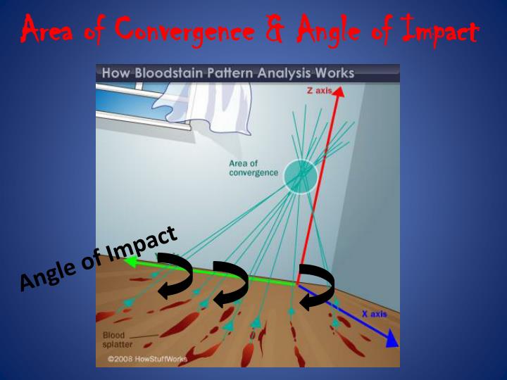 PPT - Bloodspatter Pattern Analysis PowerPoint Presentation - ID:2135921