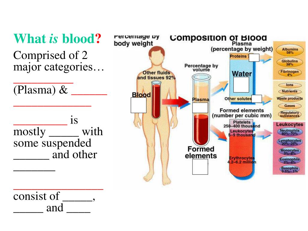 Functions of Blood.