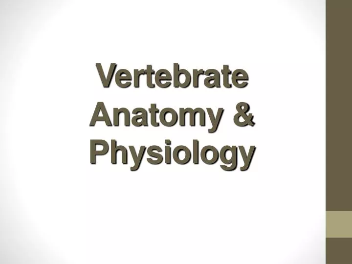 vertebrate anatomy physiology n.