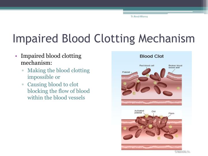 PPT - The Mechanism Of Blood Clotting PowerPoint Presentation - ID:2136457