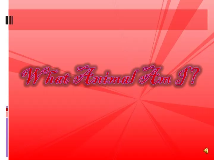 PPT - What Animal Am I? PowerPoint Presentation, free download - ID:2136483