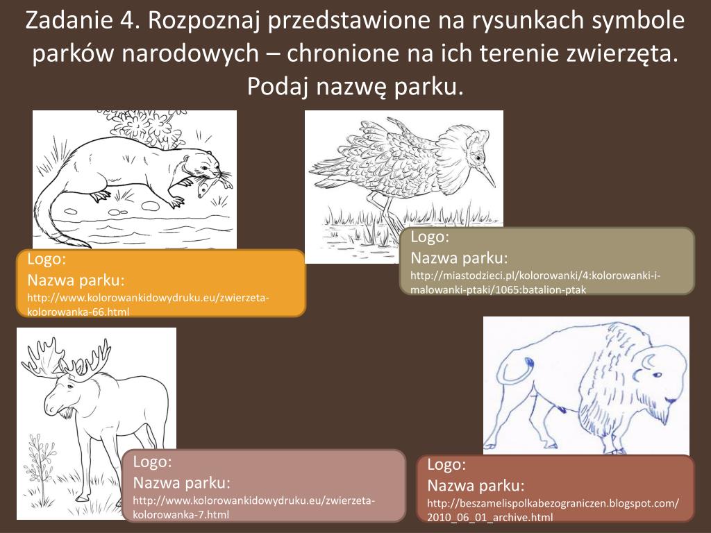 PPT - Test wiedzy o parkach narodowych nizin PowerPoint Presentation
