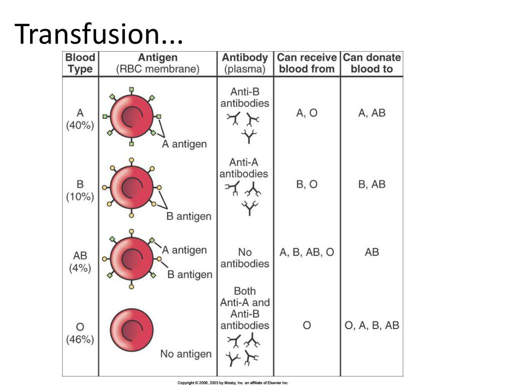 Резус фактор антиген d. Антигены системы АВО таблица. Резус фактор на эритроците. Антигены эритроцитов системы резус. Группы крови антигены и антитела.