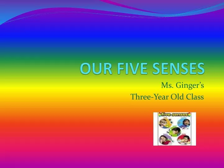 our five senses n.