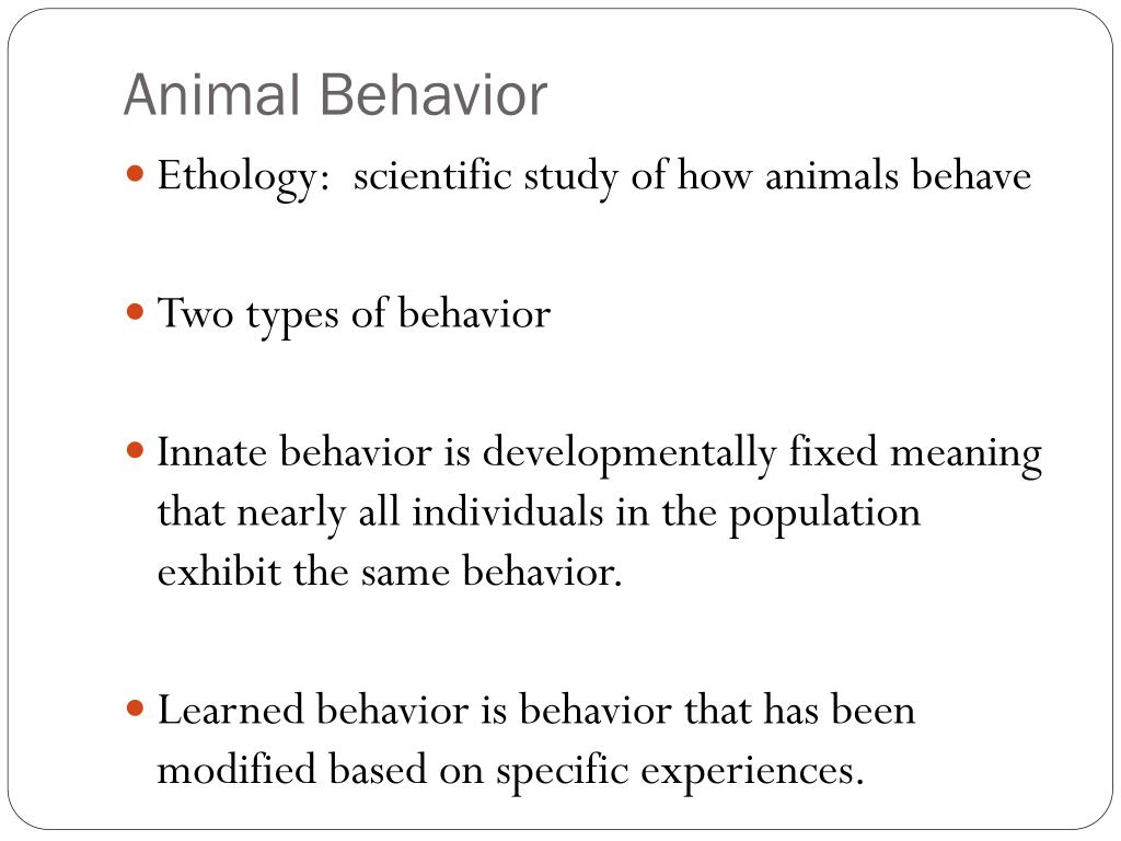 PPT - Animal Behavior PowerPoint Presentation, free download - ID:2138167