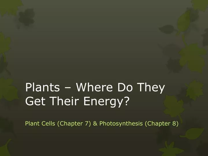PPT Plants Where Do They Get Their Energy? PowerPoint Presentation