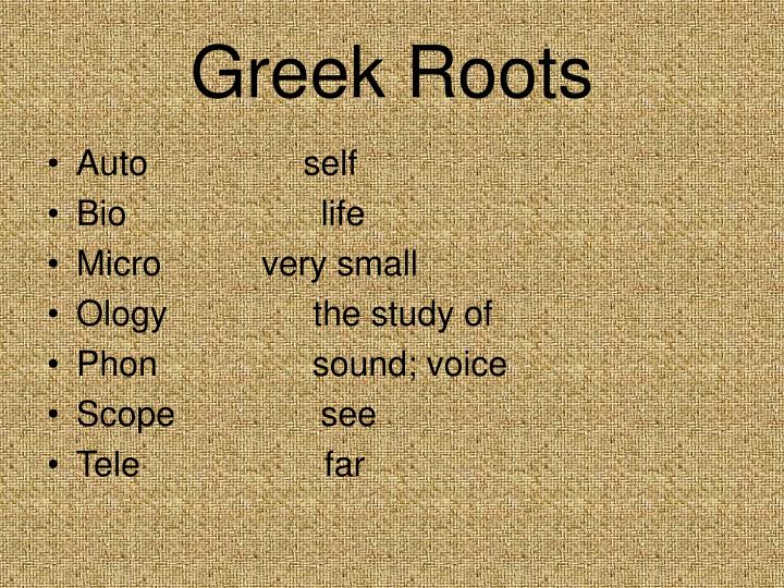 PPT The Skunk Ladder PowerPoint Presentation ID2139154