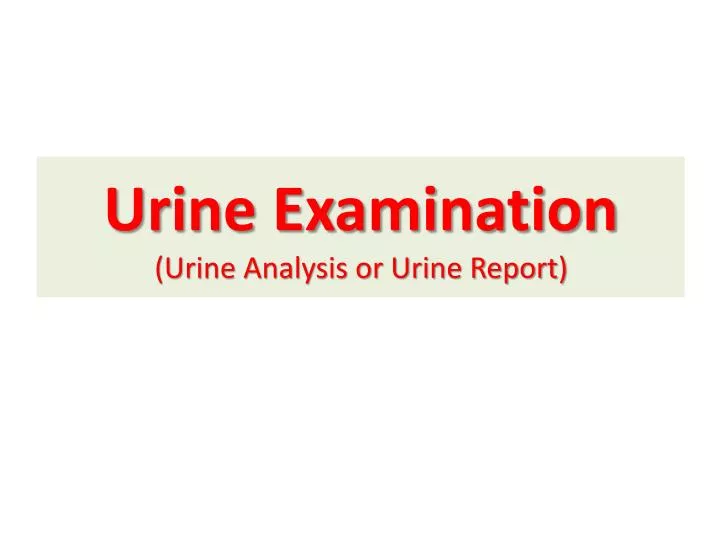 urine examination urine analysis or urine report n.