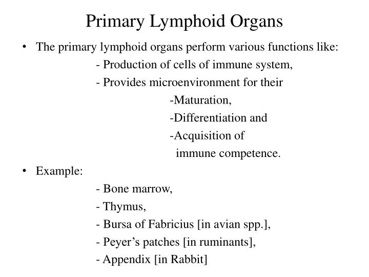 ppt organs of immune system powerpoint presentation id 2139366 primary lymphoid organs