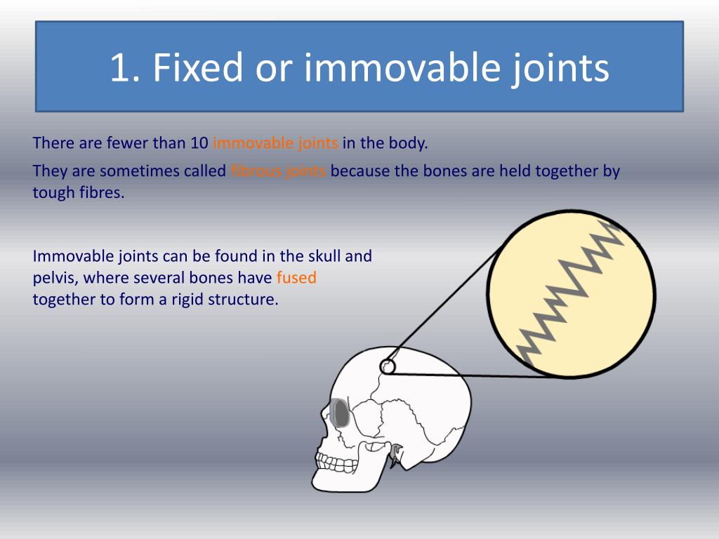 PPT Joints And Their Classifications PowerPoint Presentation Free ppt-joints-and-their-classifications-powerpoint-presentation-free