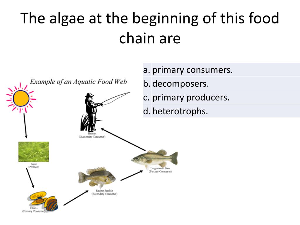 Atmosphere Biosphere hydrosphere lithosphere PowerPoint ... Biology Diagrams