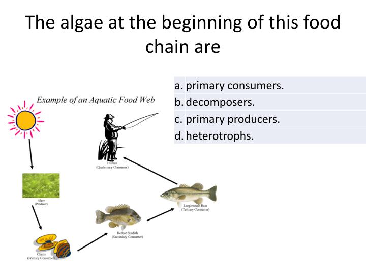 Atmosphere Biosphere hydrosphere lithosphere PowerPoint ... Biology Diagrams