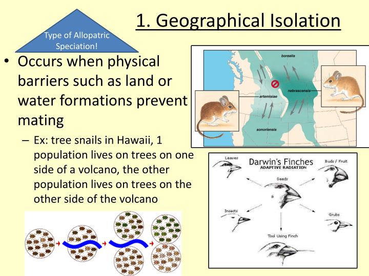 PPT 15.2 Species and Speciation Overview PowerPoint Presentation ID