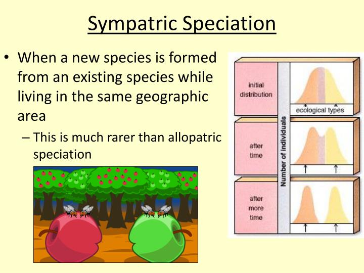 PPT - 15.2 Species and Speciation Overview PowerPoint Presentation - ID