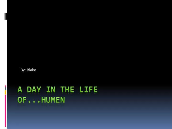 PPT - a day in the life of...humen PowerPoint Presentation, free ...