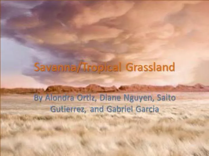 savanna tropical grasslands n.