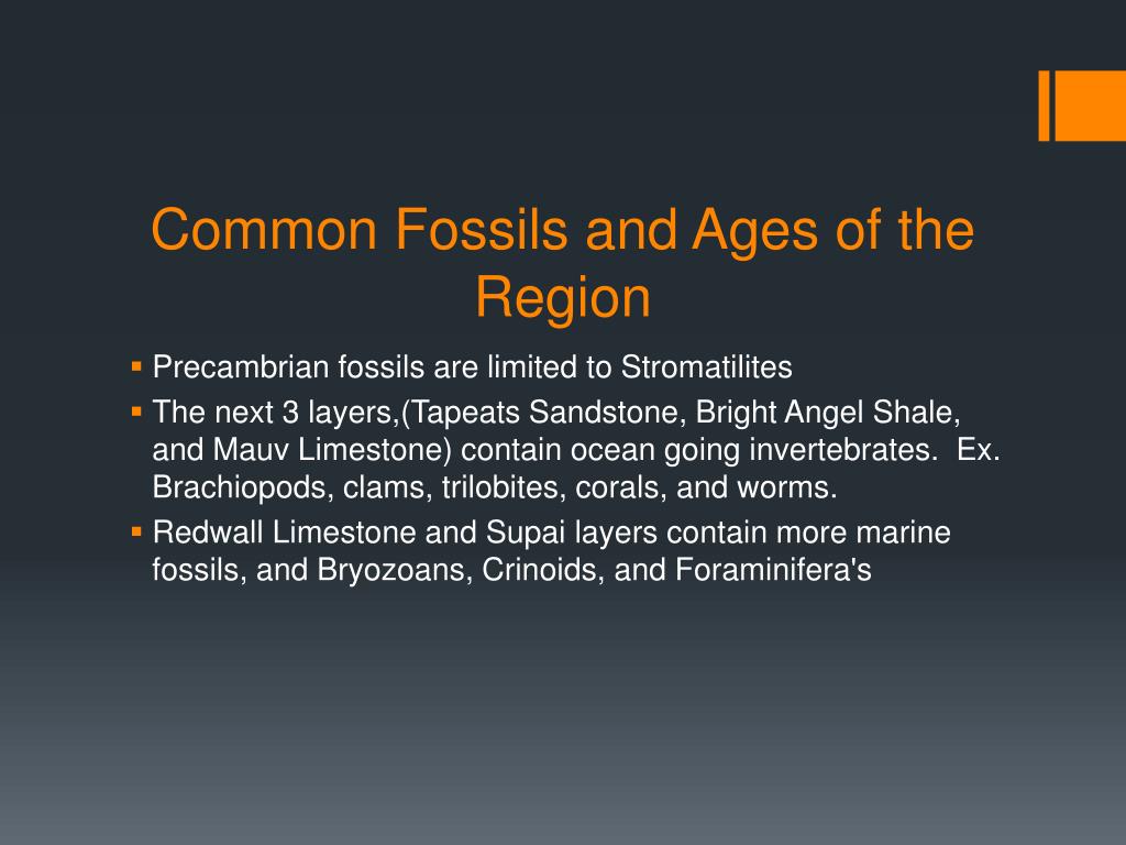 PPT The Colorado Plateau PowerPoint Presentation, free download ID