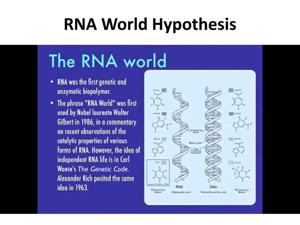 rna world hypothesis