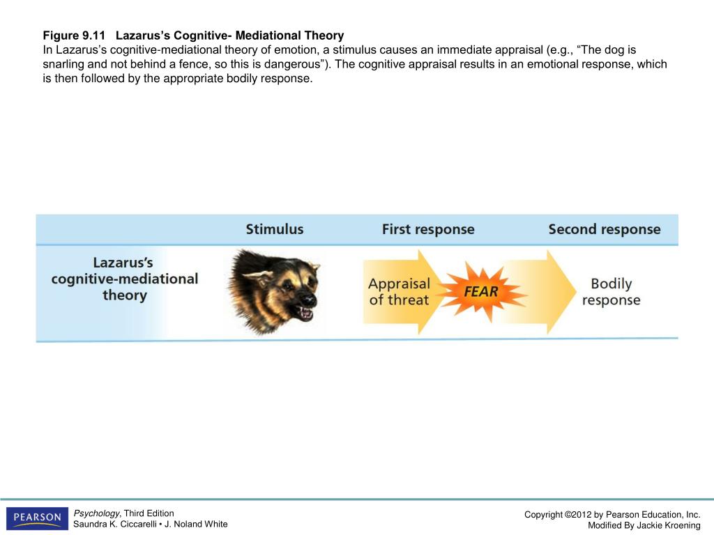 richard lazarus appraisal theory example richard lazarus appraisal theory example