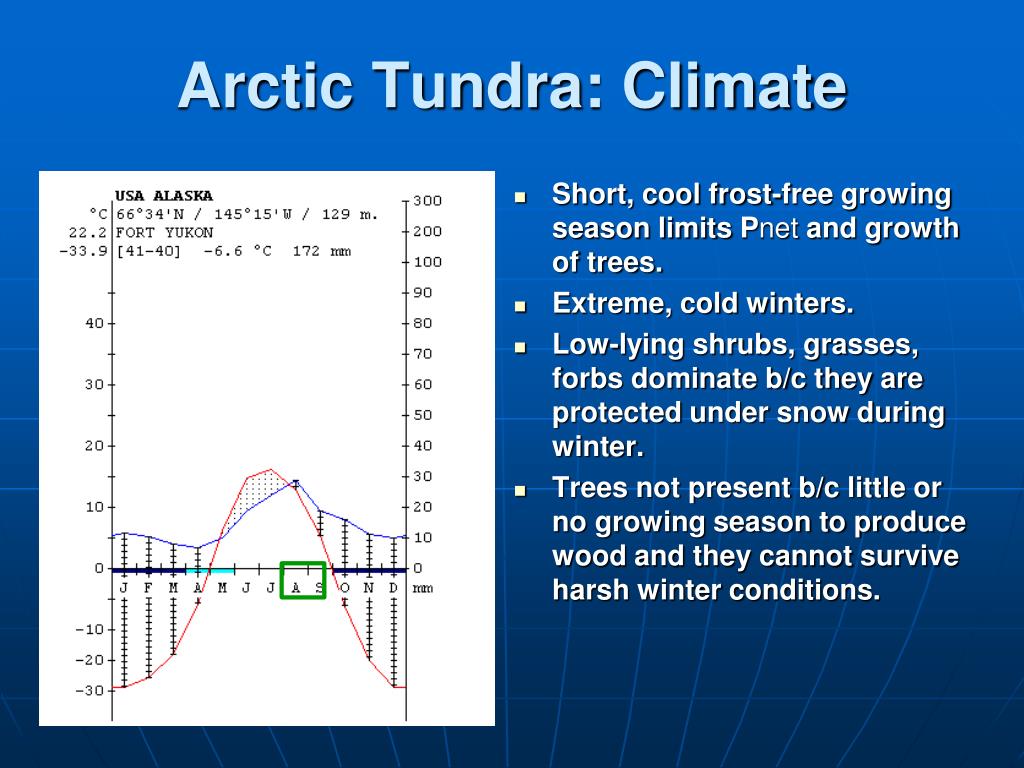 PPT - North America Cold Biomes PowerPoint Presentation, free download ...