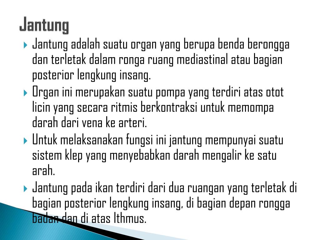 Alat Peredaran Darah Pada Ikan Dan  Fungsinya  Berbagai Alat