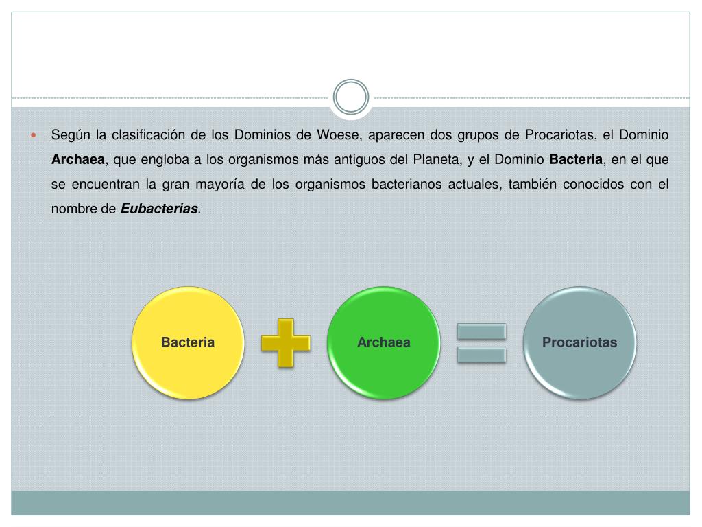 PPT - UNIDAD IV CLASIFICACIÓN DE LOS SERES VIVOS “Los Dominios y reinos”  1°parte” PowerPoint Presentation - ID:2145259