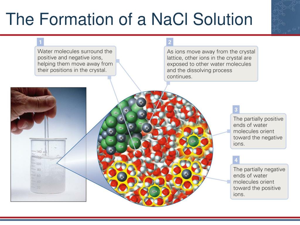 PPT - Chapter 16 Solutions PowerPoint Presentation, free download - ID