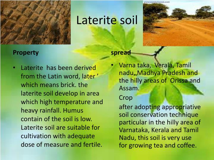 PPT Resources And Development PowerPoint Presentation ID2146426