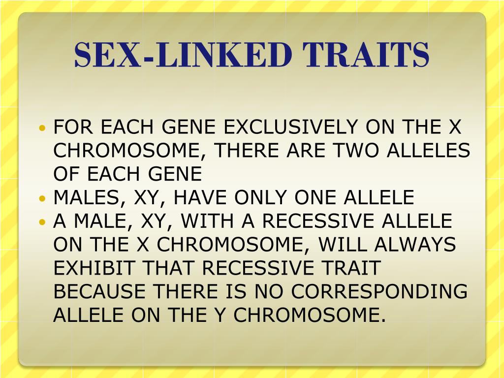 Can A Recessive Trait Be On The Y Chromosome : Sex Linked Genes.