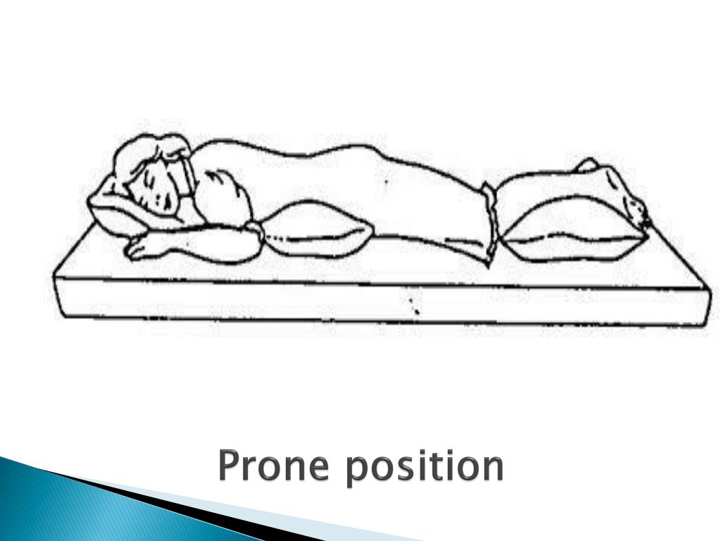 prone position definition prone position definition