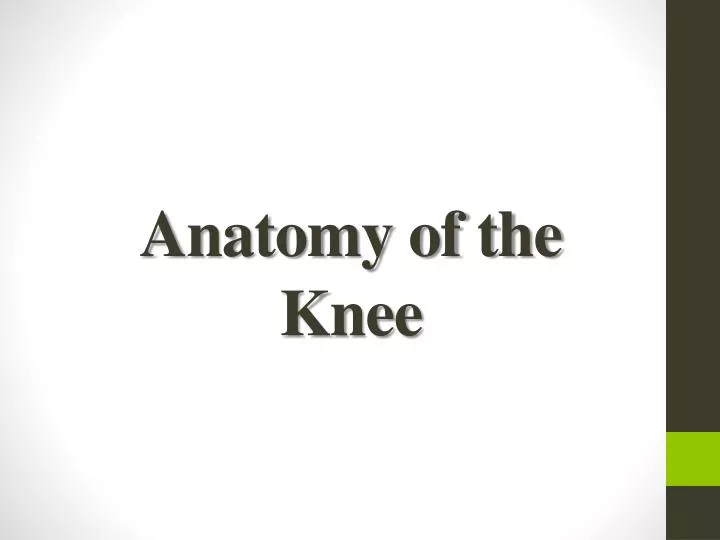 anatomy of the knee n.