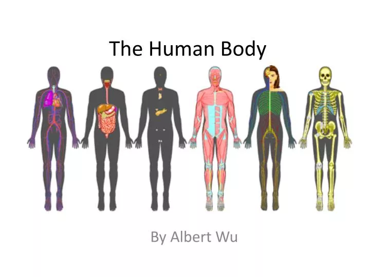 powerpoint presentation of body parts