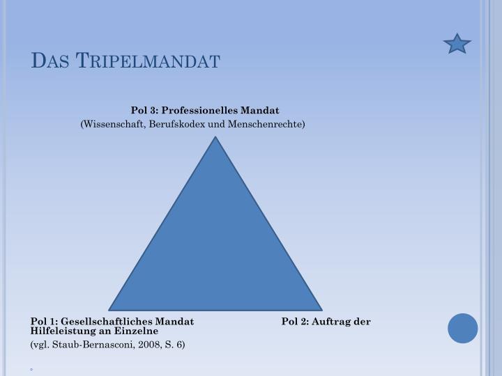 Tripelmandat Der Sozialen Arbeit