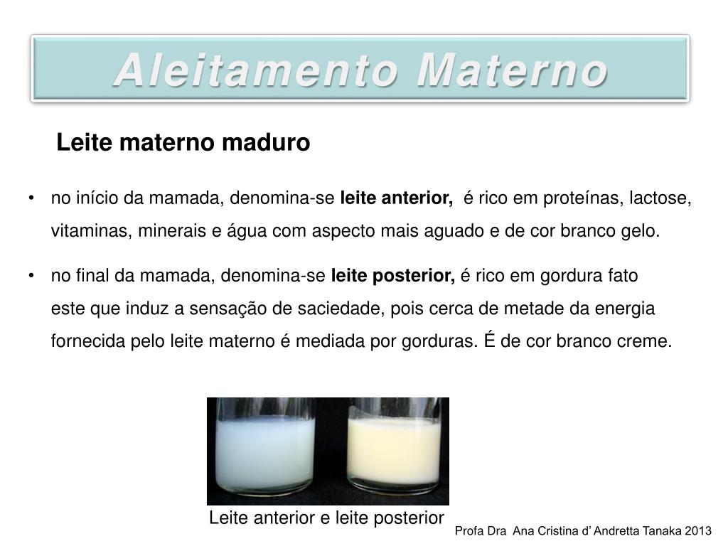 PPT - Aleitamento Materno PowerPoint Presentation, free download -  ID:2149089