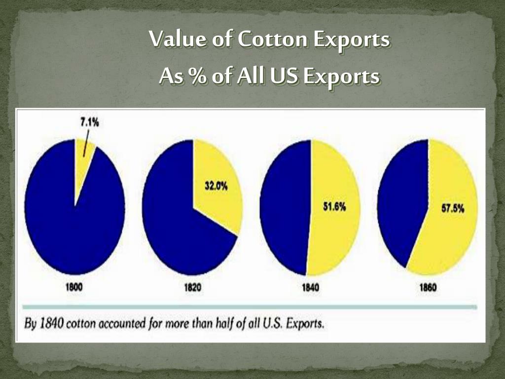 Planter Aristocracy Cottonocracy