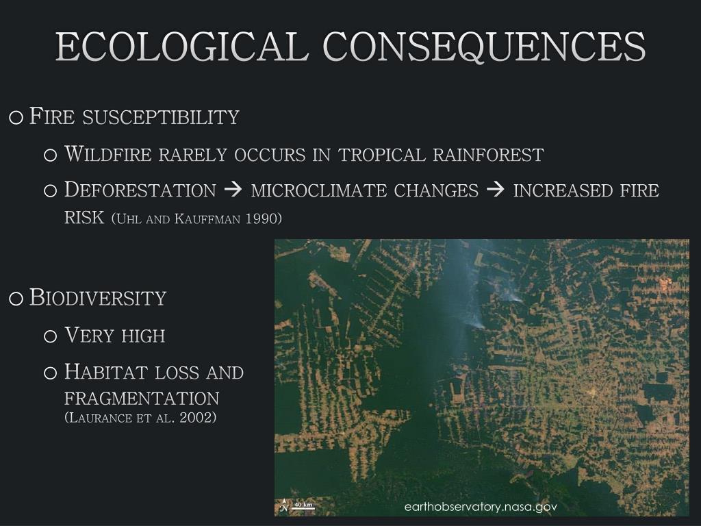 PPT - Forestry and Agriculture in Brazilian Rainforests PowerPoint ...