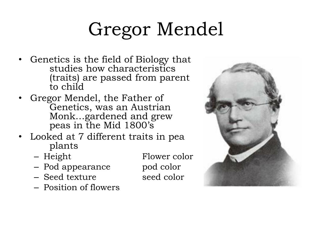 Gregor Mendel Timeline