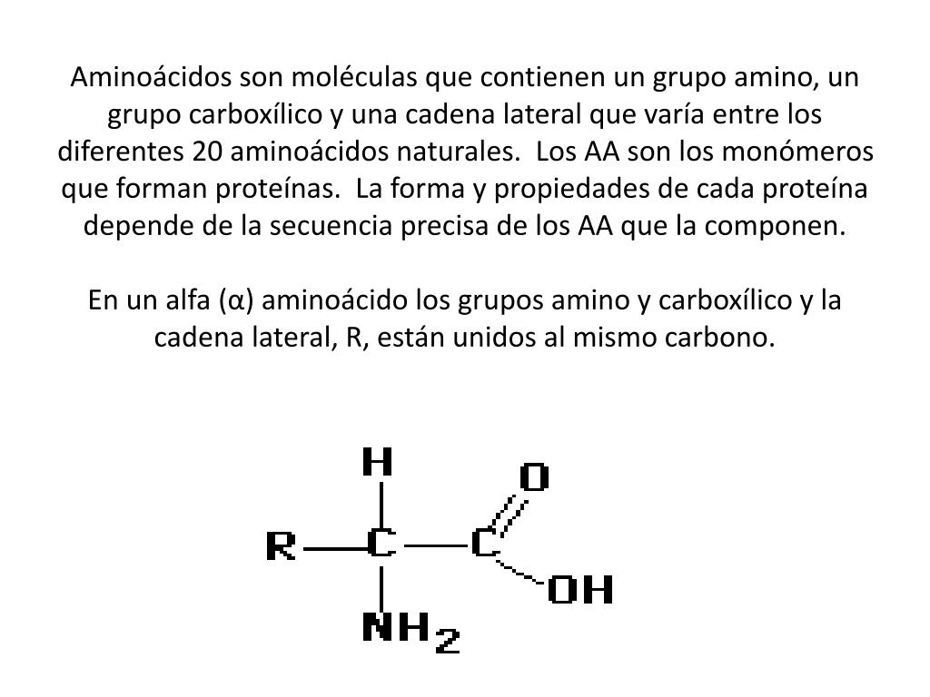 Ppt 3 α Aminoácidos Componentes De Proteinas Y El Enlace Peptídico Powerpoint 