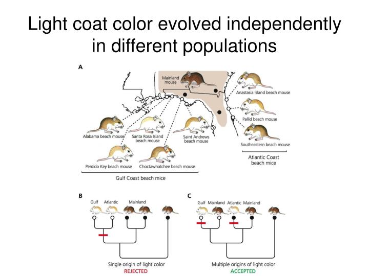 Are Natural Selection Favors Change Are Natural Selection Favors Change
