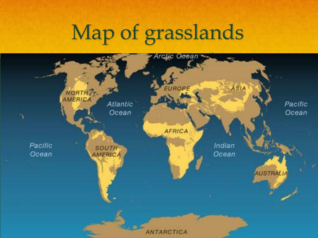 Grassland Biome World Map