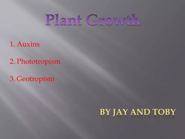 PPT - Plant Growth PowerPoint Presentation, free download - ID:2154053